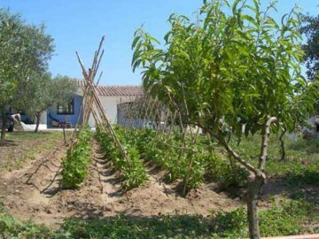 agriturismo in sardinie - Guthiddai in Oliena (10)
